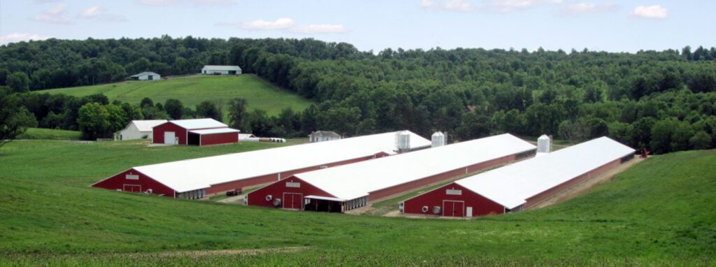 Case Study: Case Farms Brings Occupational Hearing Testing In-House